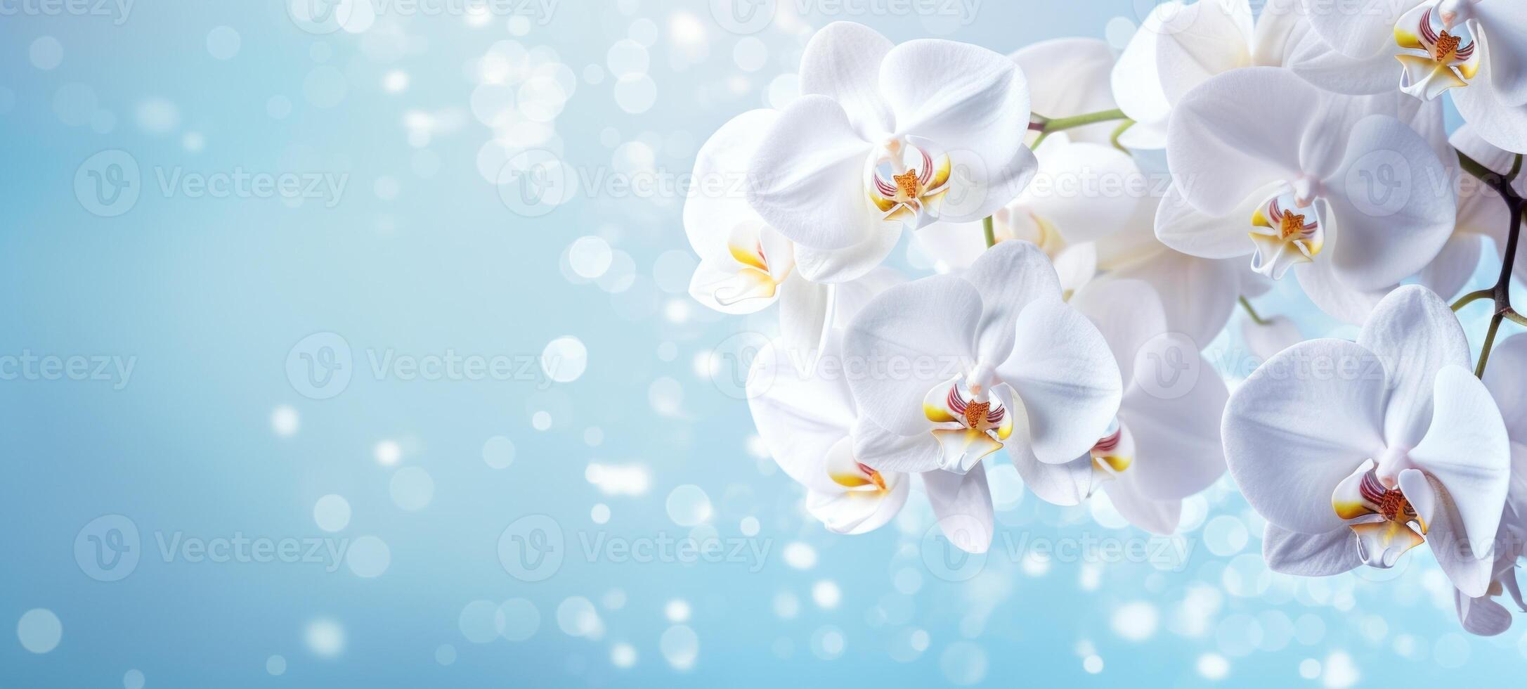 AI generated White orchids bouquet against sparkling blue background with bokeh. Banner with copy space. Ideal for poster, greeting card, event invitation, promotion, advertising, print photo