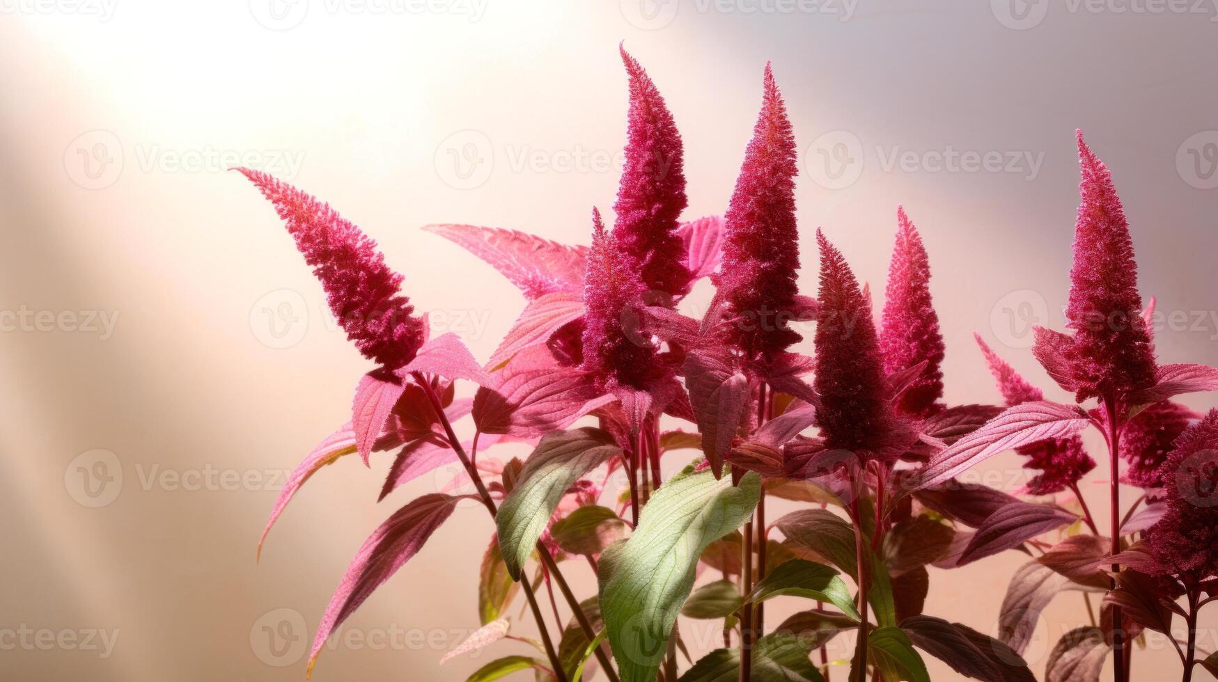 AI generated Soft pink amaranth flowers in daylight, suitable for springtime imagery. Usage in Seasonal marketing, gardening content. With copy space. photo