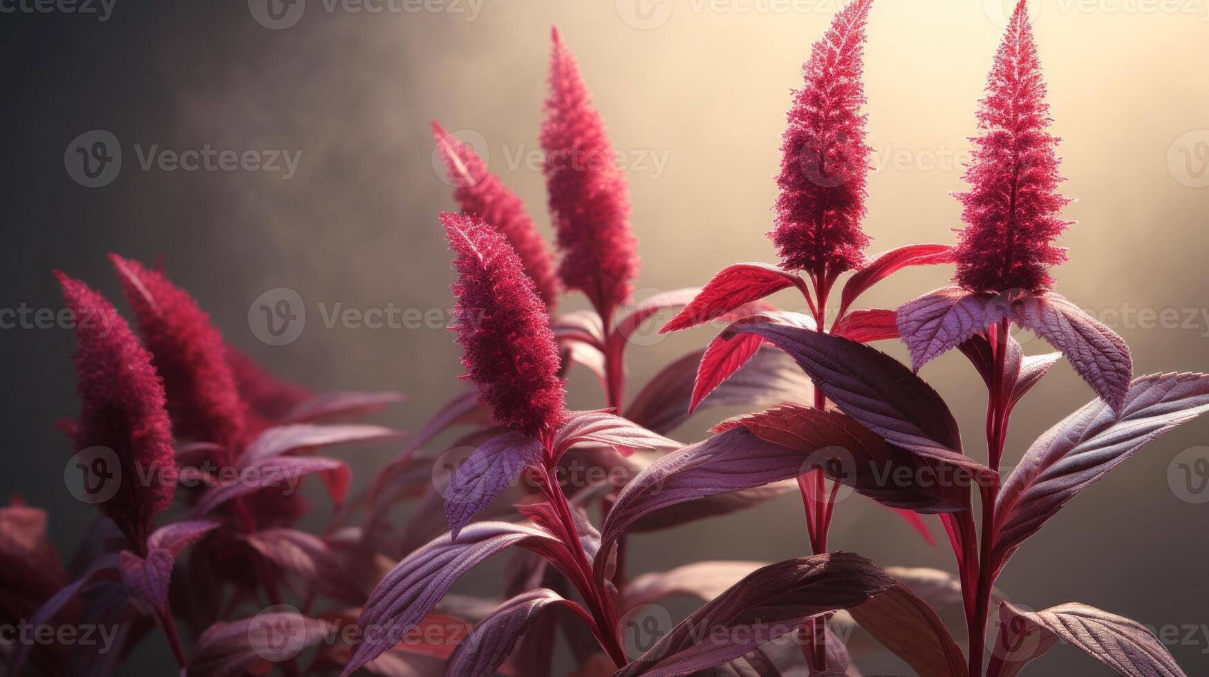 AI generated Close up of red amaranth flowers on dark background. Ideal for backgrounds, wallpapers, or as a design element. Can be used in garden blogs, horticulture websites photo
