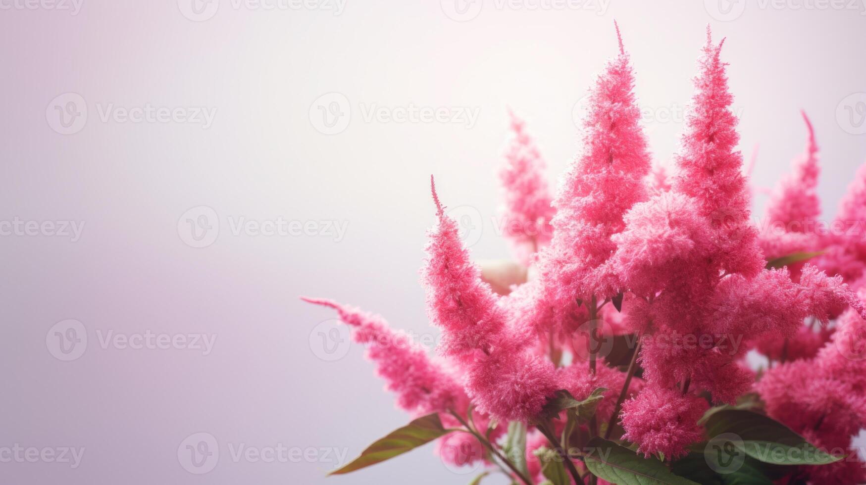 AI generated Bright pink amaranth blooms, on a light background, ideal for botanical illustrations. Usage in garden blogs, horticulture websites. With copy space. photo