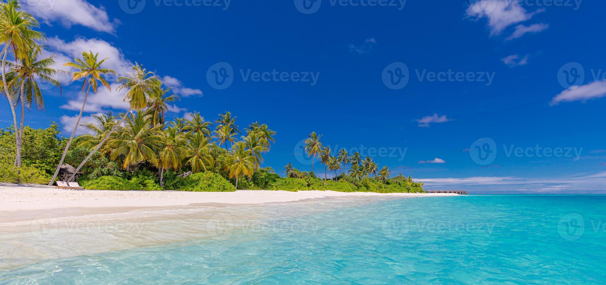 popular tropical destino escena. exótico playa palma arboles blanco arena y calma marina. increíble viaje paisaje, mejor paraíso isla vacaciones. Perfecto vistoso relajarse antecedentes. soleado verano cielo foto