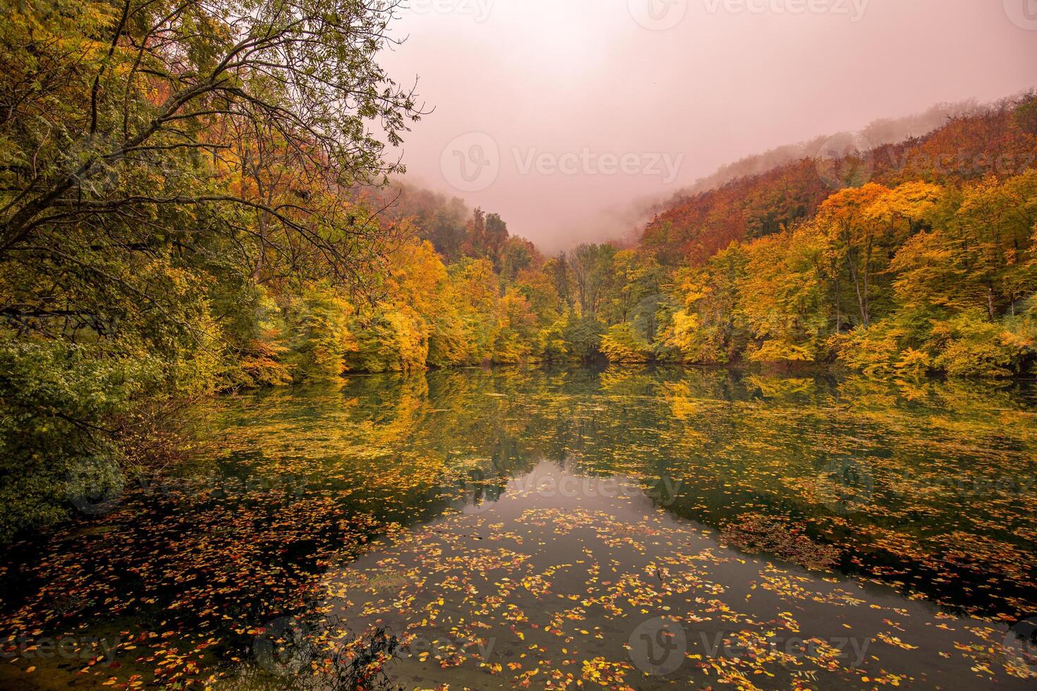 Beautiful, colorful autumn lake. Amazing water reflection, peaceful nature scenery. Yellow orange leaves, misty morning light. Relax autumnal fall nature view. Bright seasonal landscape, panoramic photo