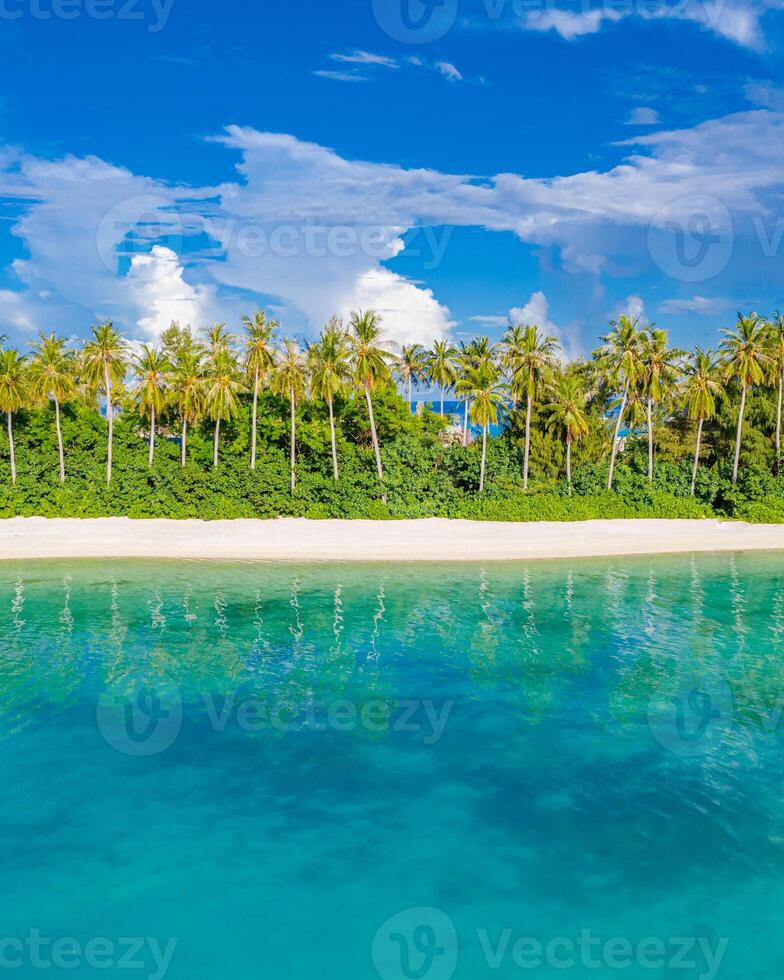 Amazing tropical beach reflection, palm trees under blue sky with sea reflection. Exotic travel destination as travel vacation landscape. Outdoor forest landscape, peaceful nature view photo