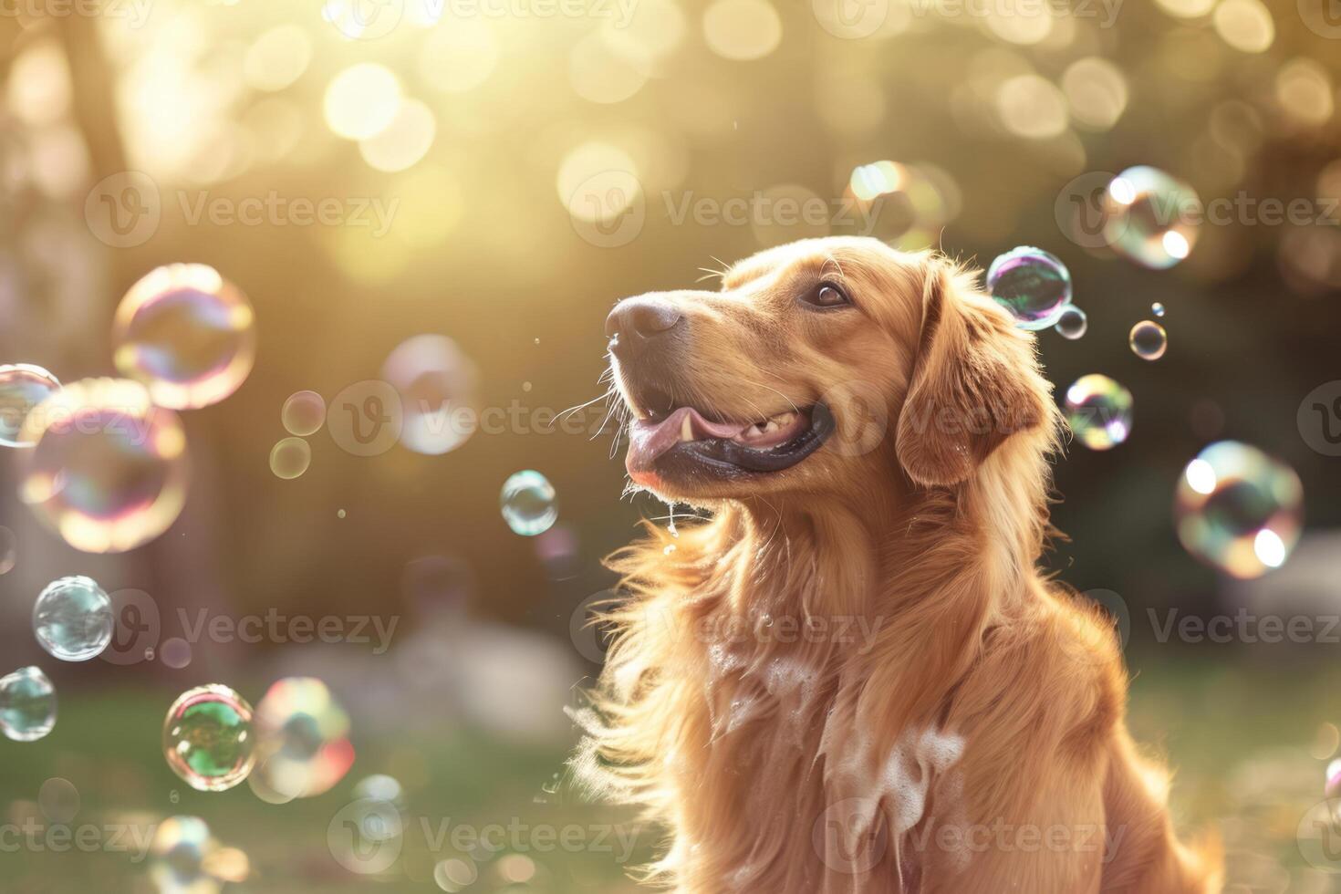 AI generated Dog with soap bubbles in summer outdoor. Generative AI photo