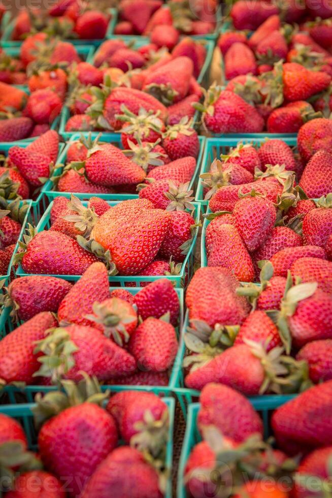 Baskets of Strawberries photo