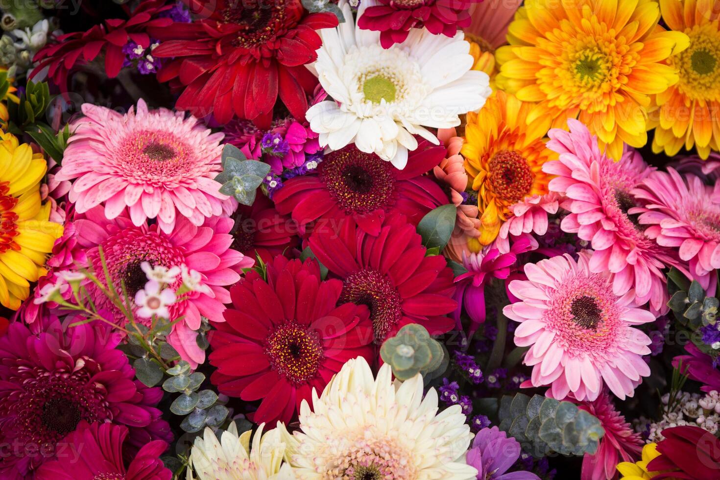 A Bunch of Daisies photo