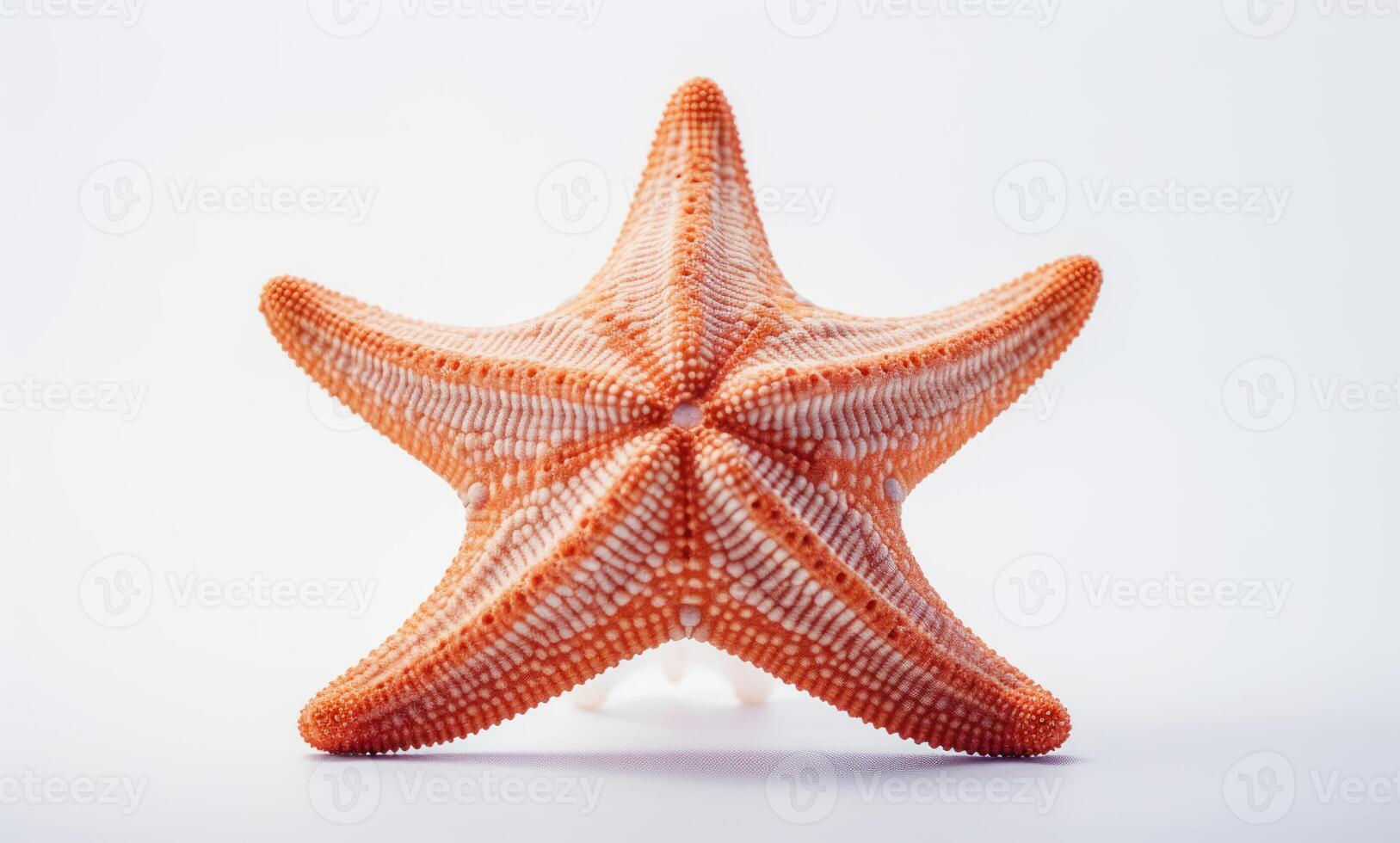 AI generated Starfish on a white background, underwater marine life picture photo