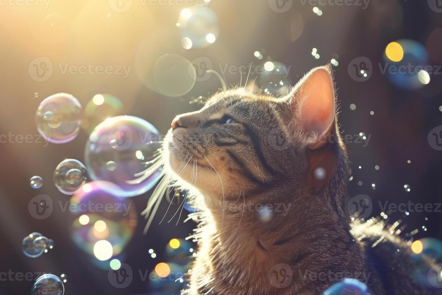 AI generated Cat surrounded by soap bubbles. Kitten playing with soap bubbles. Generative AI photo