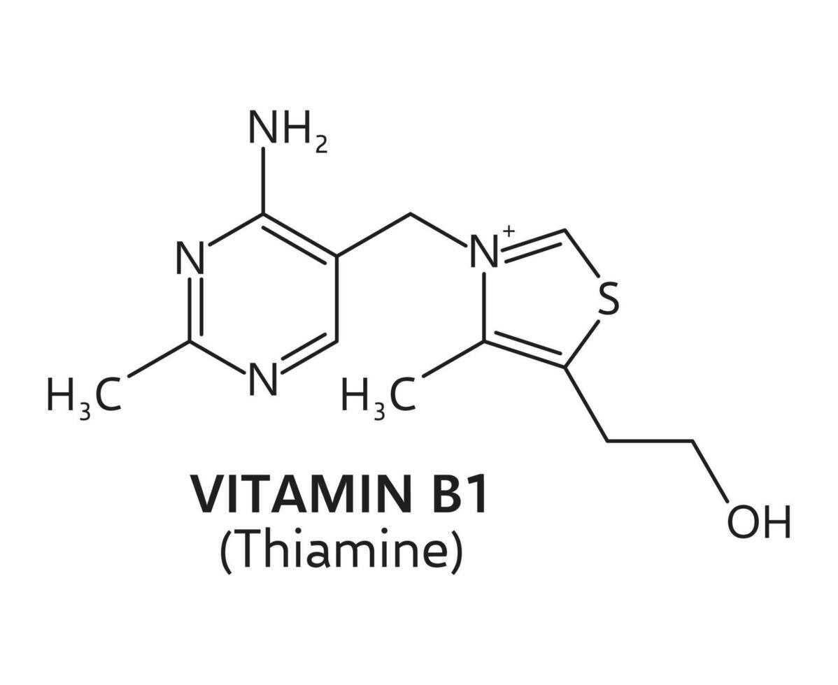 Vitamin B1 formula, thiamine chemical structure vector