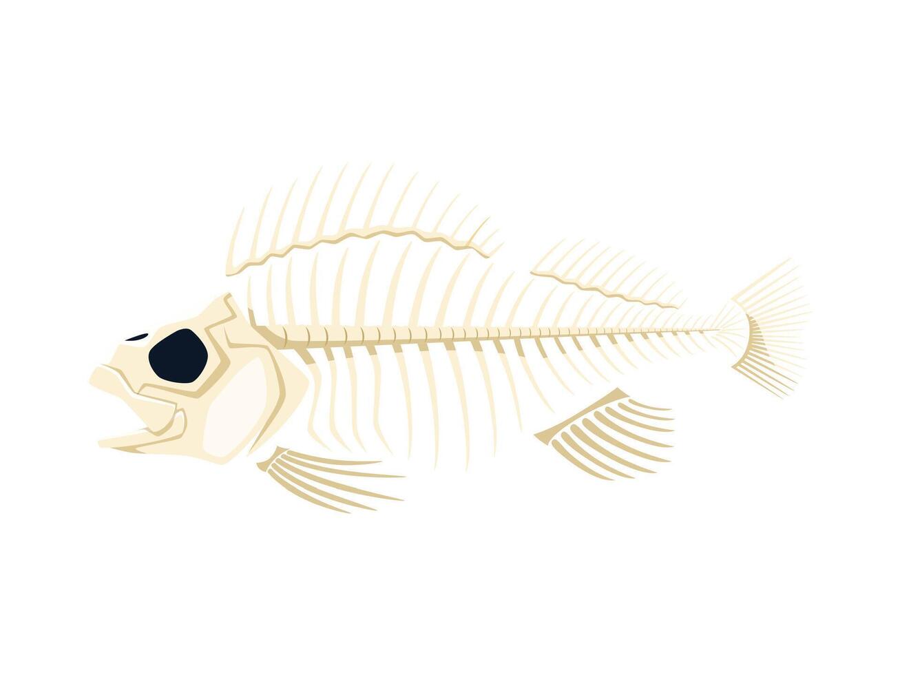 Cartoon fish skeleton bones, stripped of flesh vector