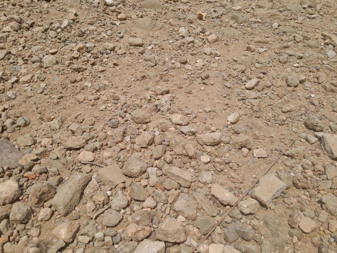 Photo of a yard with lots of pebbles. Perfect for wallpaper, background, banner, web, advertising