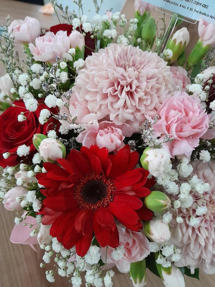 foto de rojo y rosado rosas. Perfecto para revistas, tabloides y periódicos