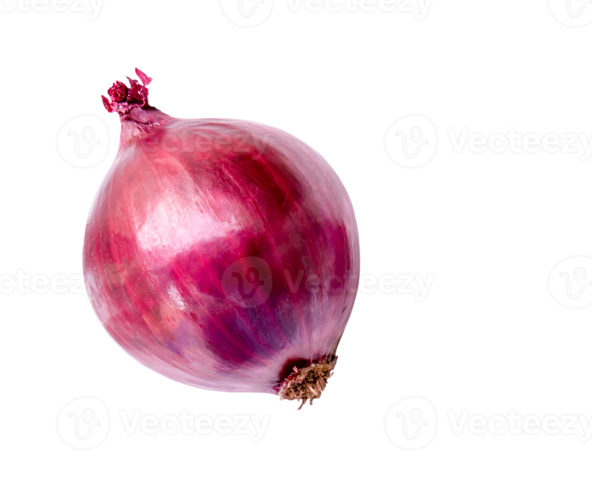 Top view of fresh red or purple onion isolated with clipping path in png file format