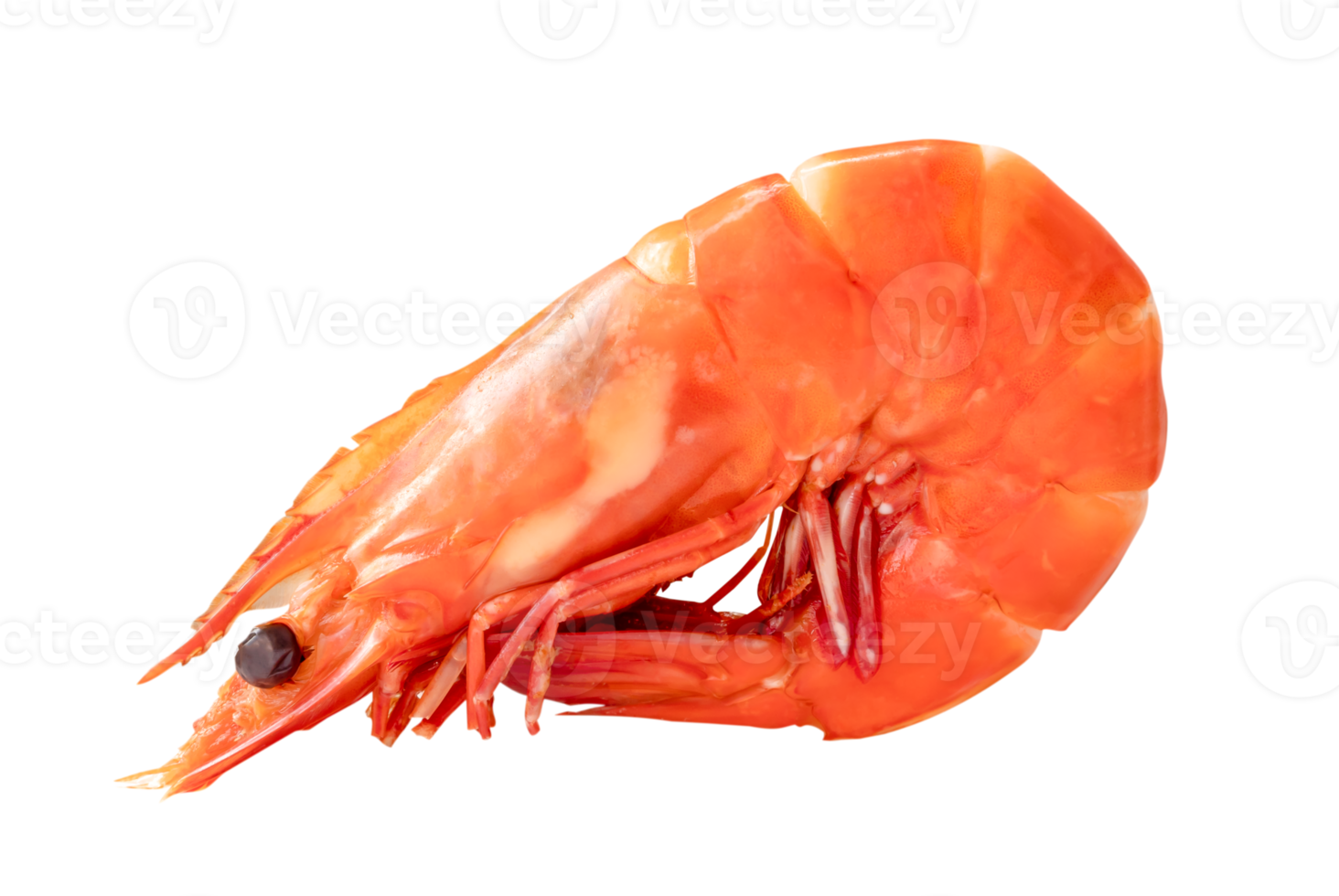 Red cooked or steamed prawn or shrimp isolated with clipping path in png file format
