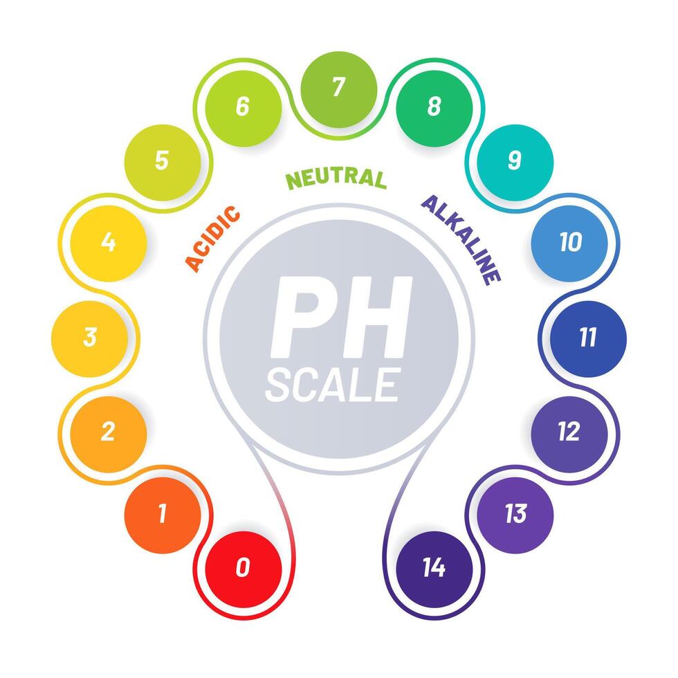 PH scale of food acid balance, chart indicators vector
