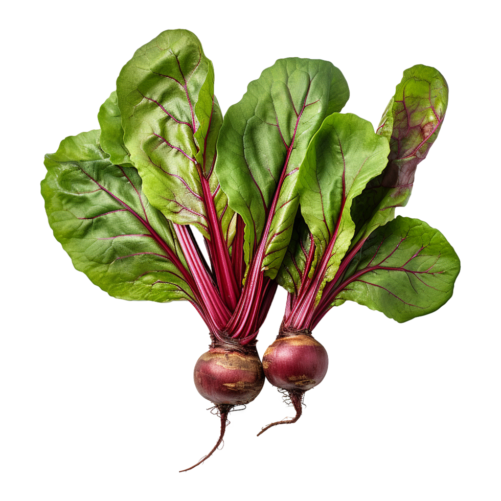 AI generated Beetroot with leaves isolated on transparent background png