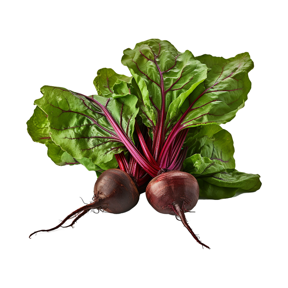 AI generated Beetroot with leaves isolated on transparent background png