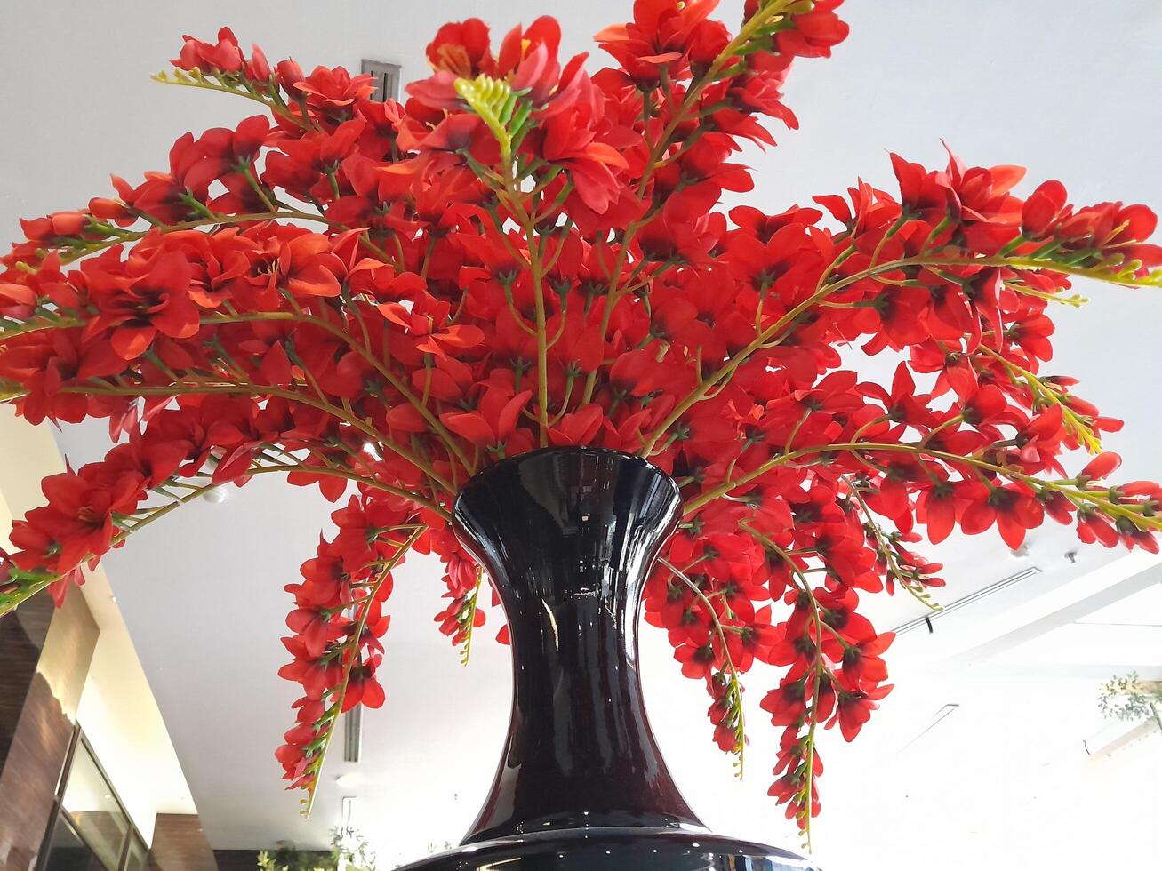 foto de un rojo planta en un negro florero. Perfecto para revistas, periódicos y tabloides