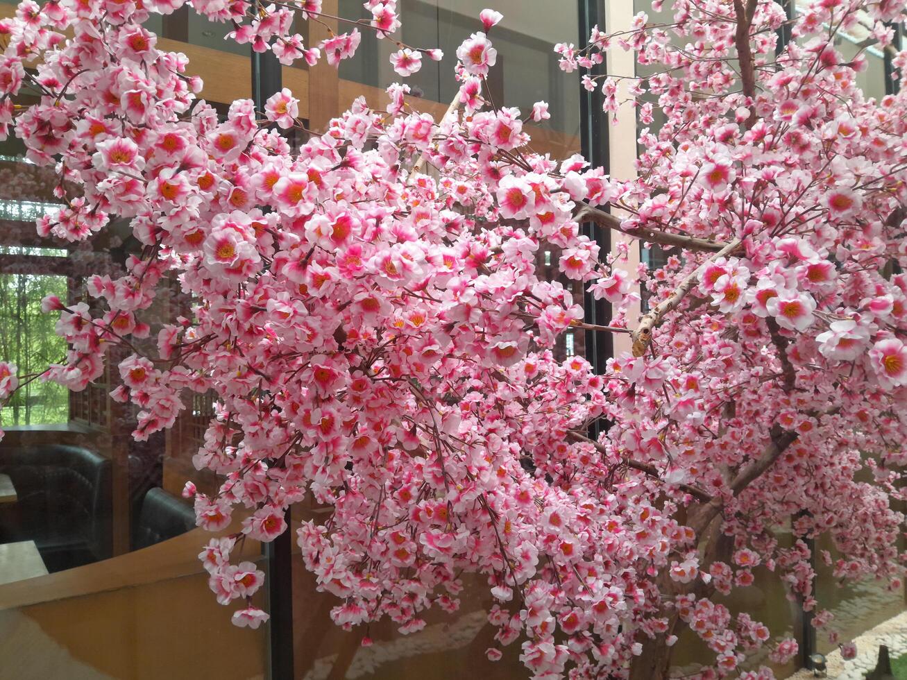 Photo of cherry blossom plants. Perfect for wallpaper, background, banner, web, advertising