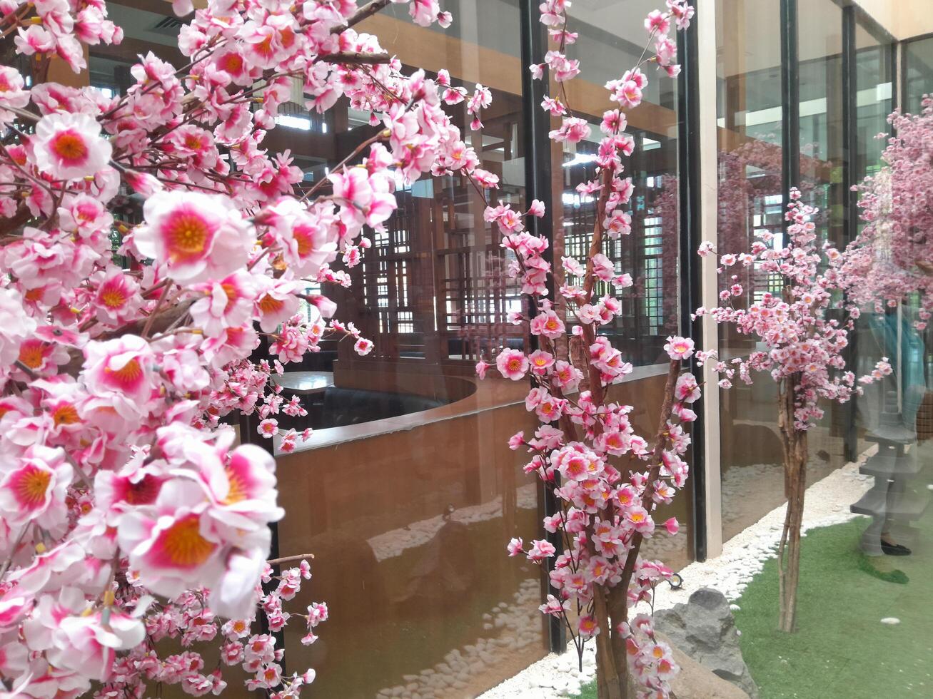 Photo of cherry blossom plants. Perfect for wallpaper, background, banner, web, advertising