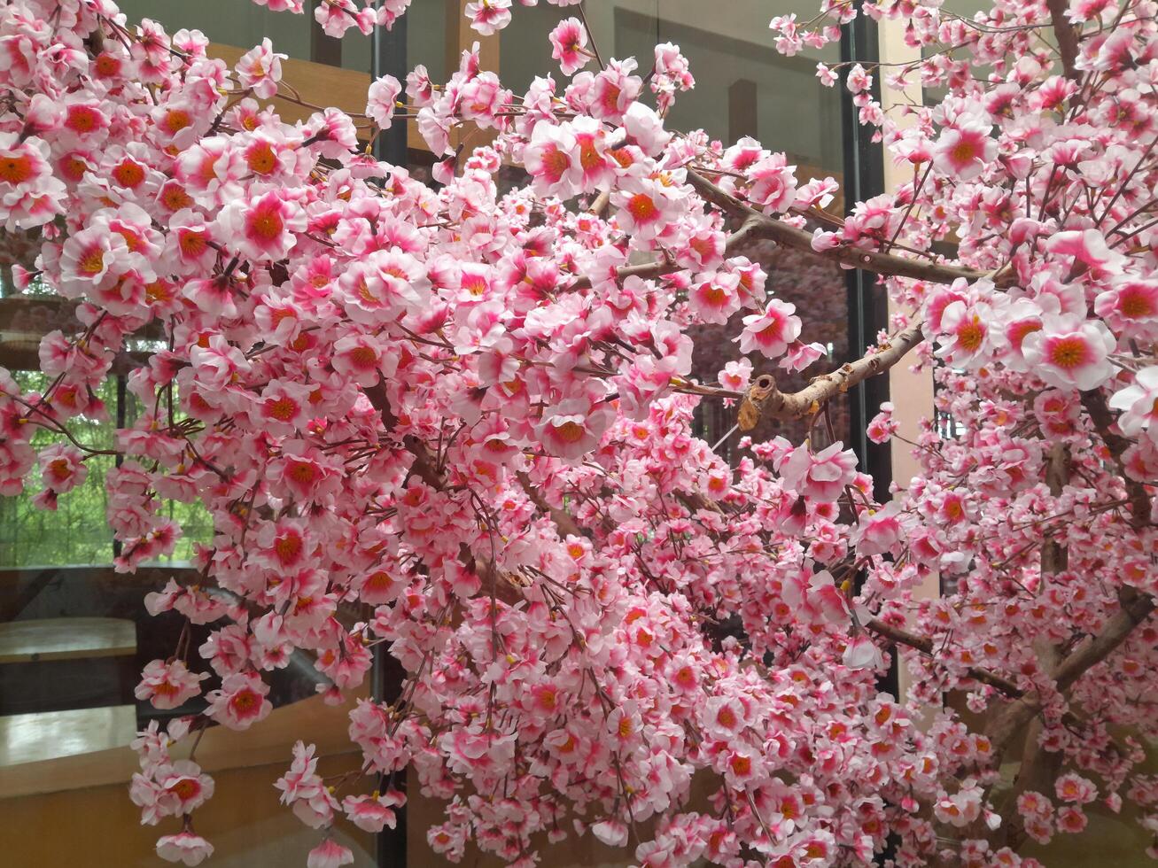 Photo of cherry blossom plants. Perfect for wallpaper, background, banner, web, advertising