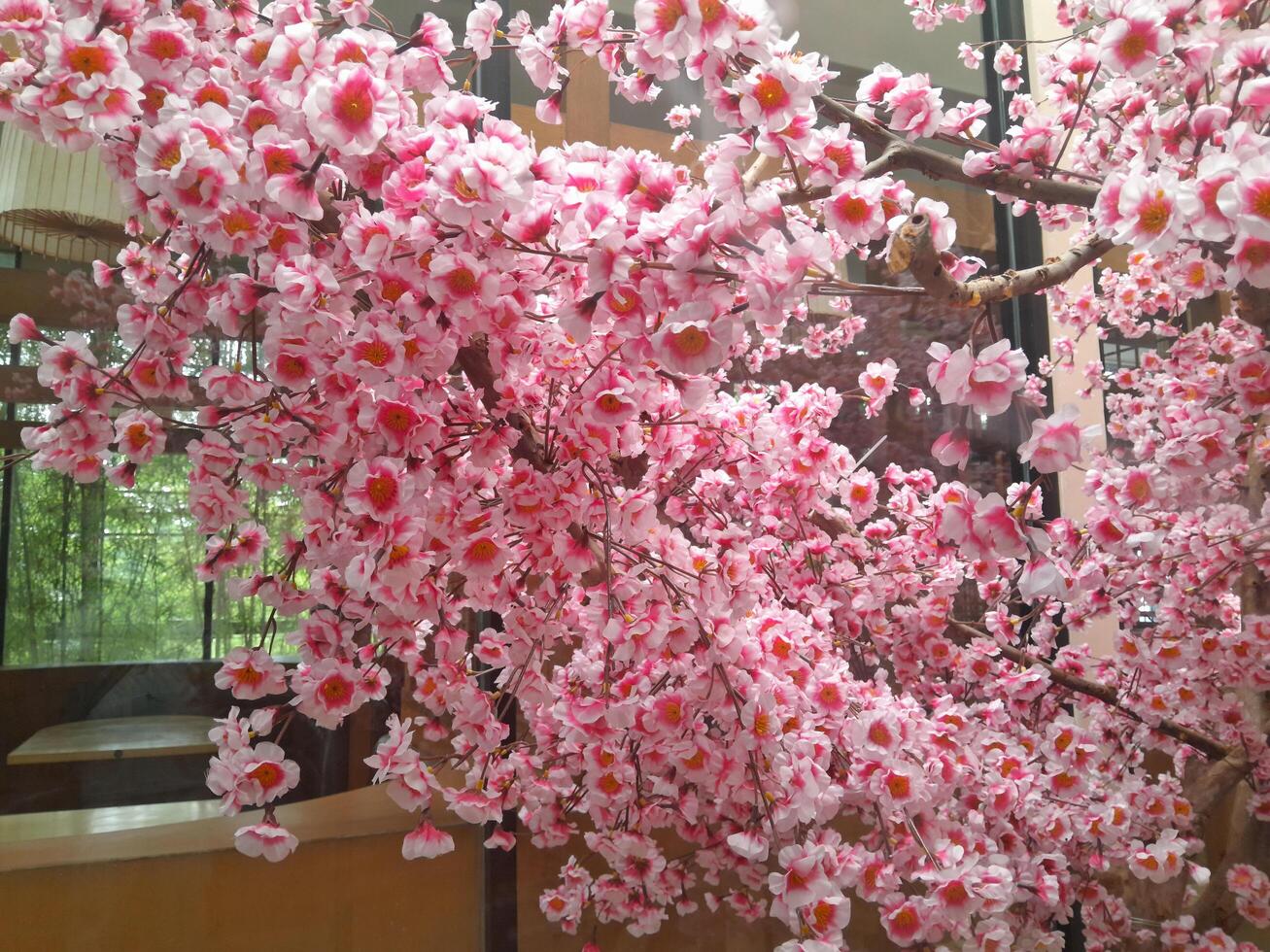 Photo of cherry blossom plants. Perfect for wallpaper, background, banner, web, advertising