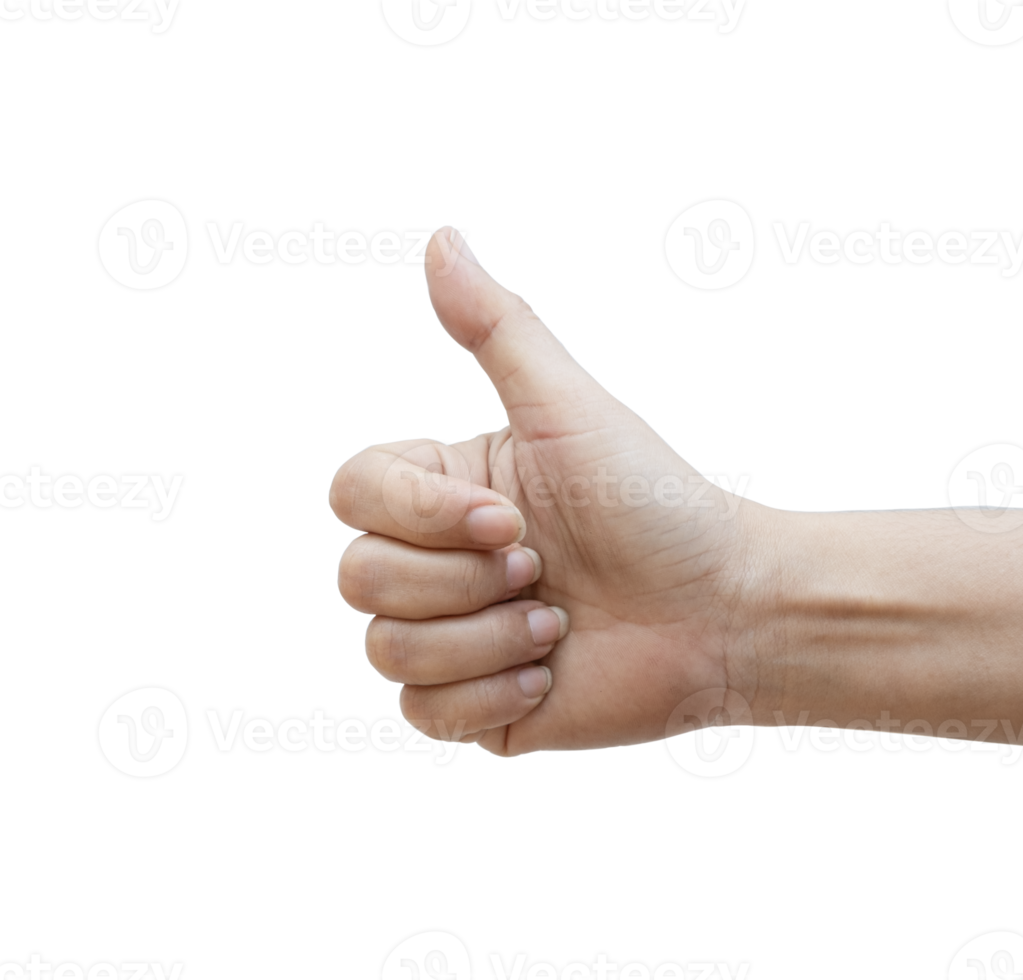 Human hand giving a thumbs up png