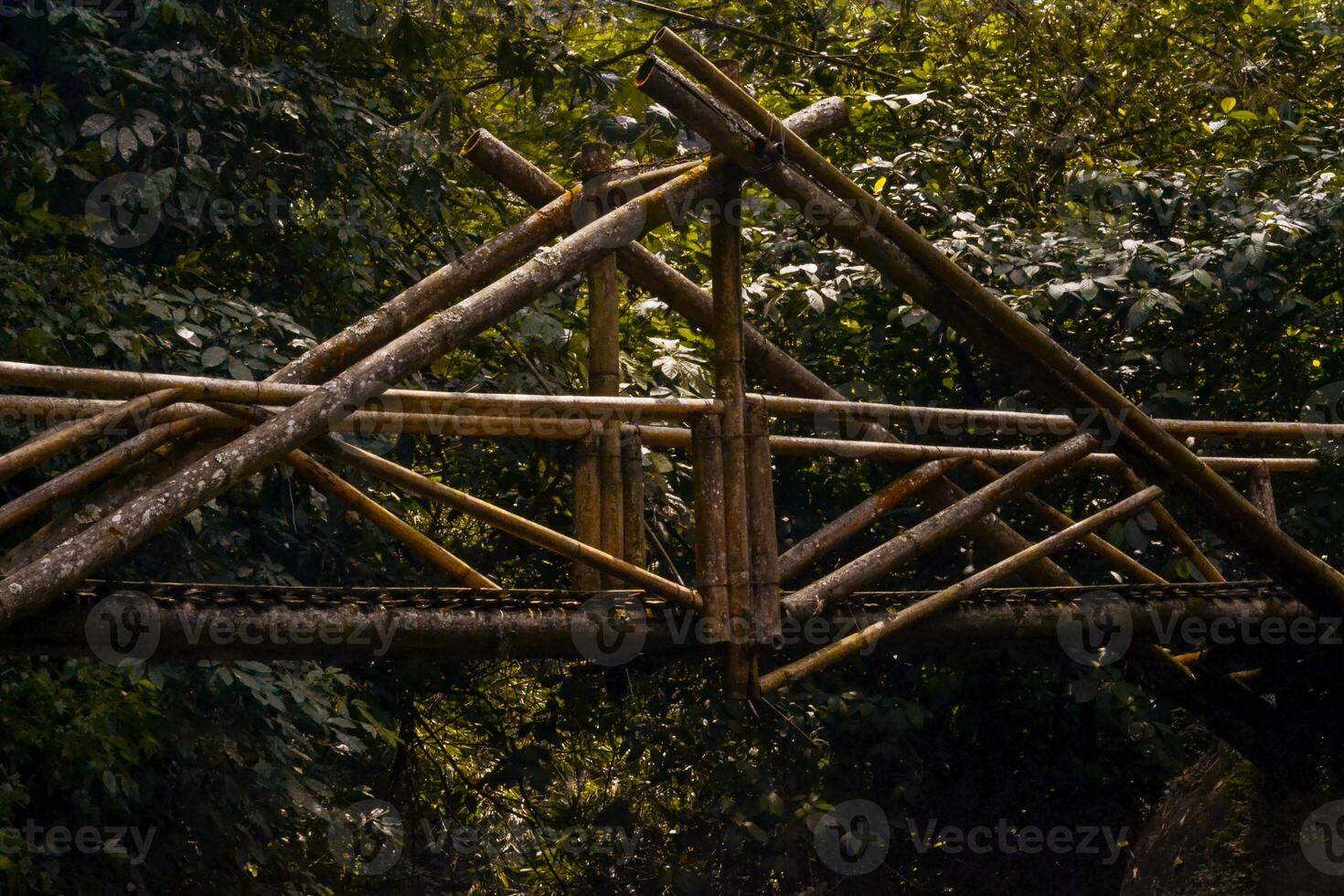 a bridge made of bamboo in the jungle photo