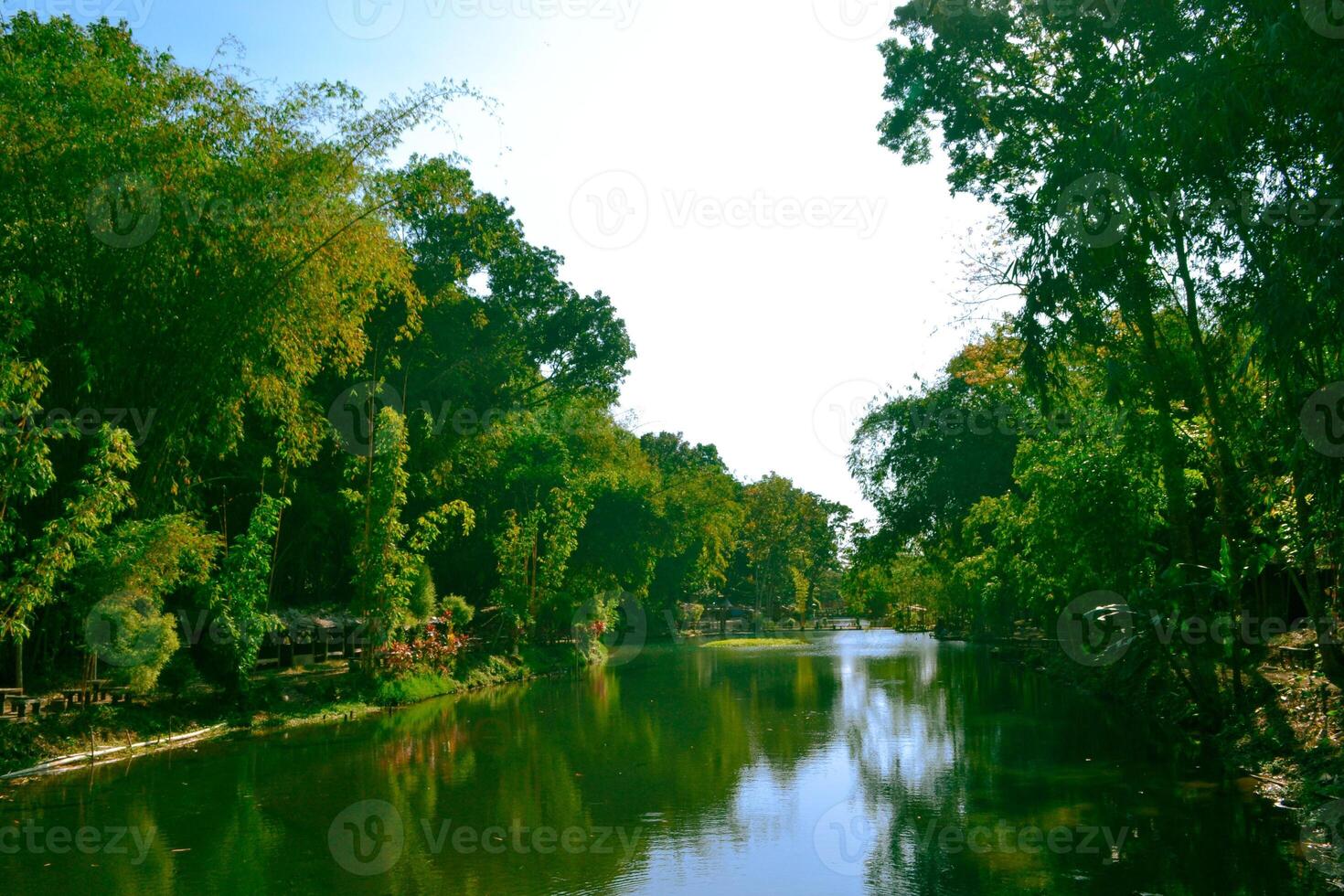 a river surrounded by trees photo