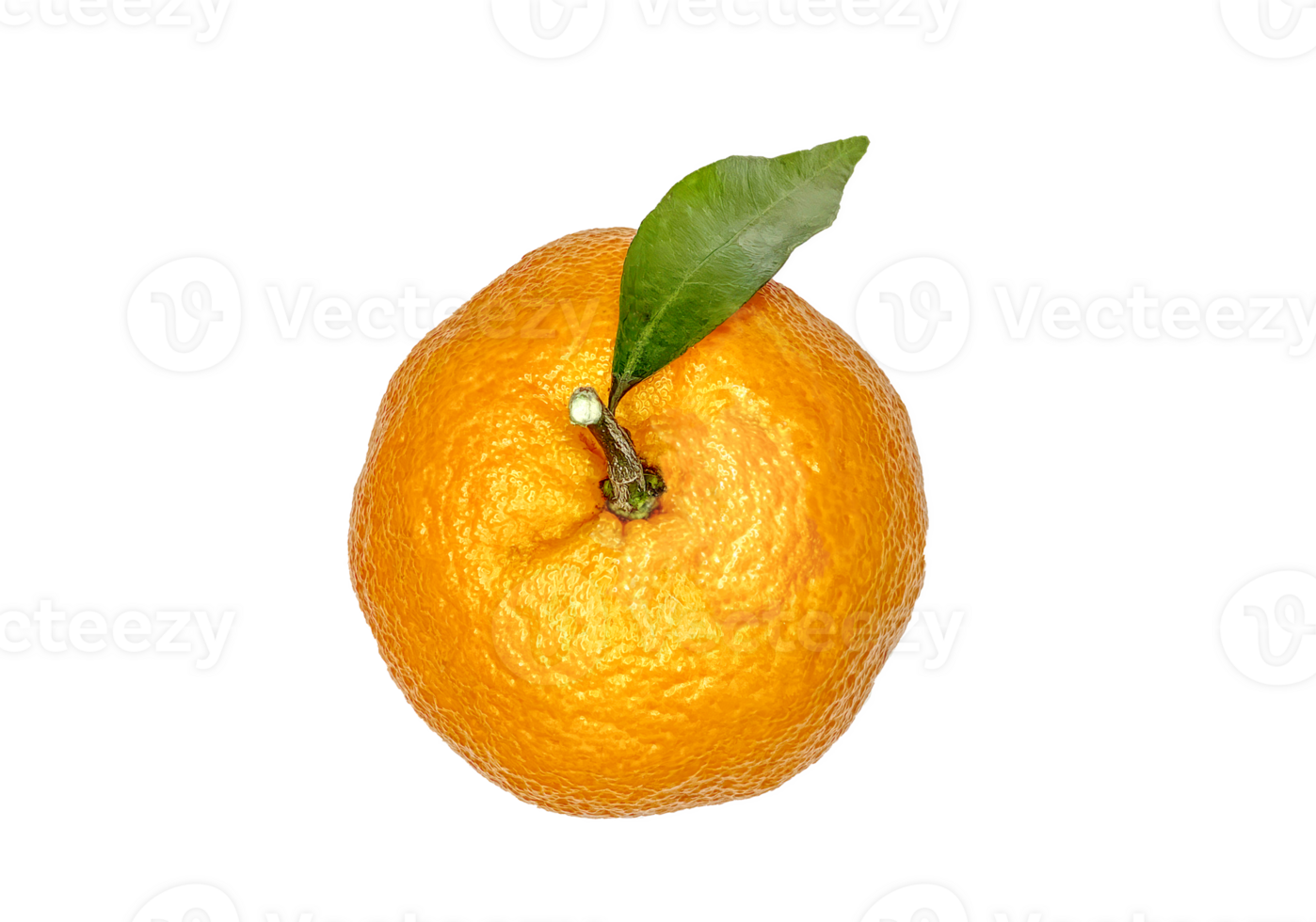 topp se av mandarin med en blad Nej bakgrund png