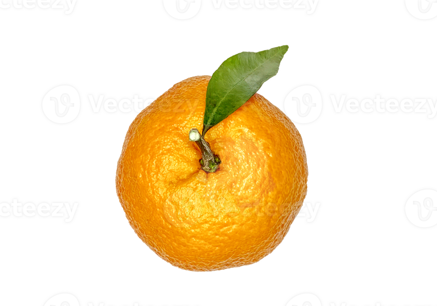 top view of mandarin with a leaf no background png