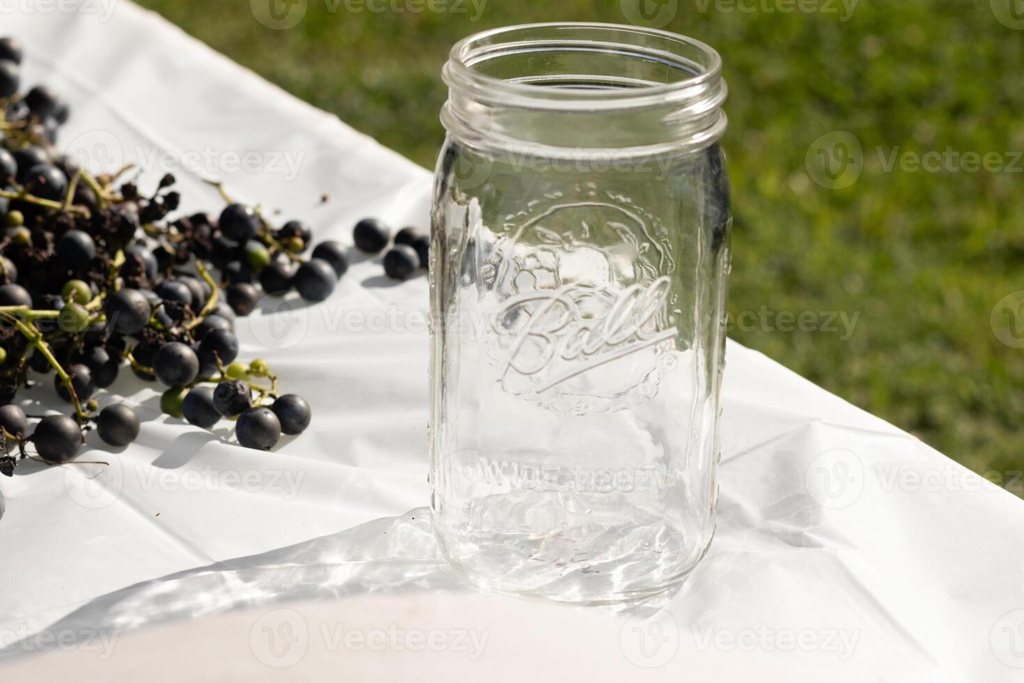 I love the look of these concord grapes spread out on the table with a white background. The deep purple orbs all over. The Ball jar out reminds you of canning or preserving your food. photo