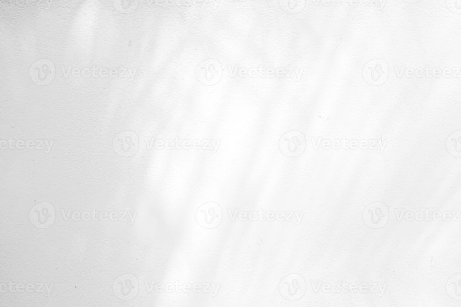 Abstract Palm Leaves Shadow on White Concrete Wall Texture Background. photo