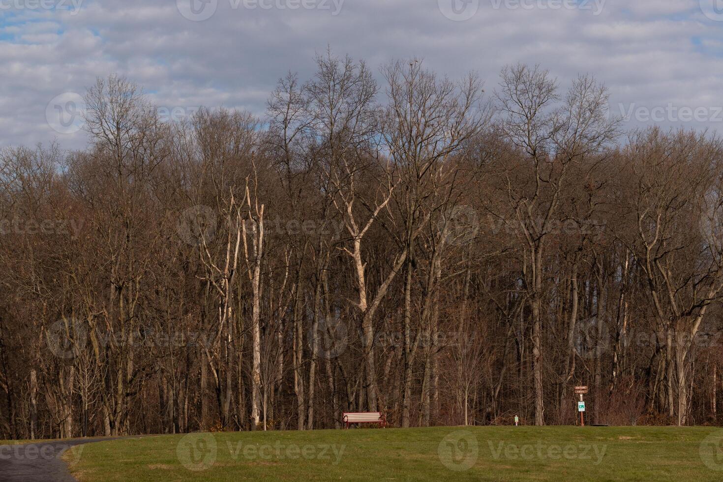 The beautiful nature scene helps to remind you of the nice open spaces that have not been filled with buildings yet. The brown trees standing tall without leaves due to the winter season. photo