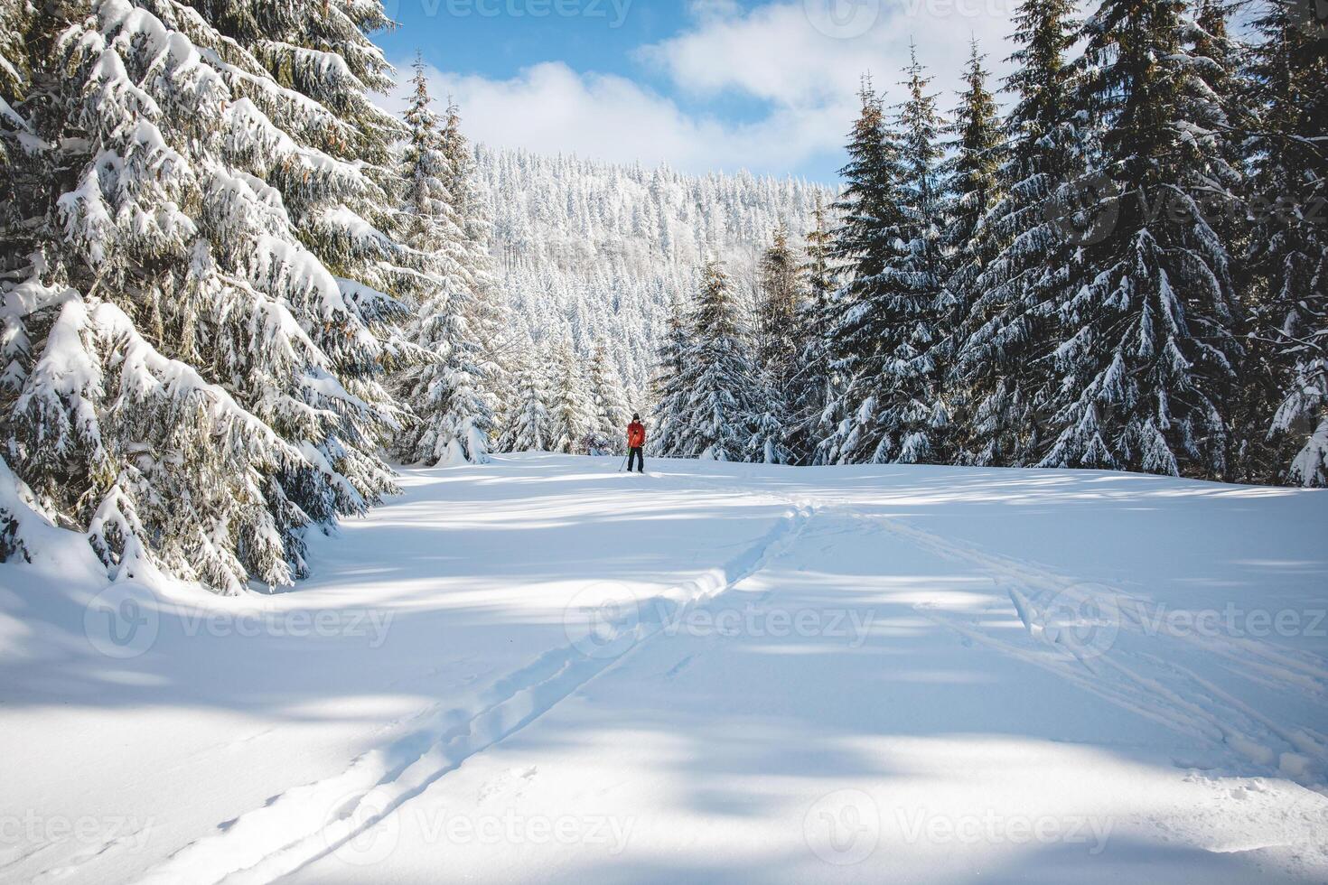 Young adult cross-country skier aged 20-25 making his own track in deep snow in the wilderness during morning sunny weather in Beskydy mountains, Czech Republic photo