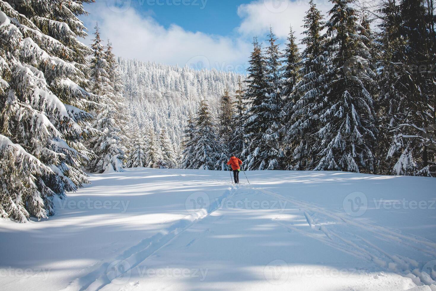 joven adulto a campo traviesa esquiador Envejecido 20-25 haciendo su propio pista en profundo nieve en el desierto durante Mañana soleado clima en beskydy montañas, checo república foto