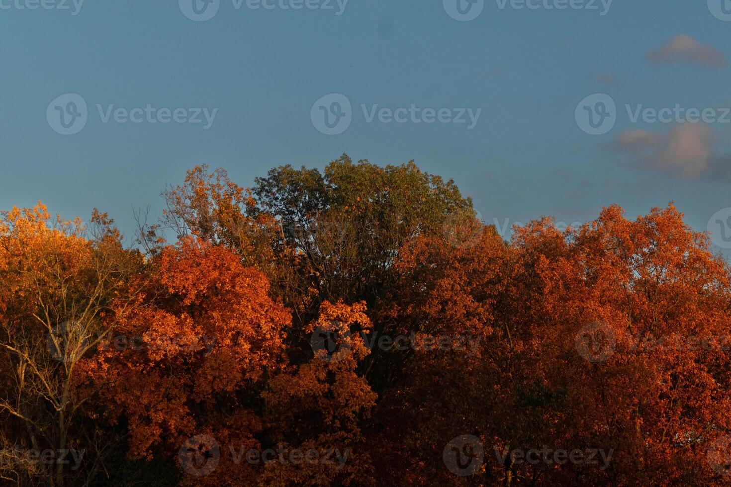 This picture was taken in the Autumn season. The Fall foliage is in peak color. The orange, brown, and yellow almost makes the trees look like they are on fire. photo