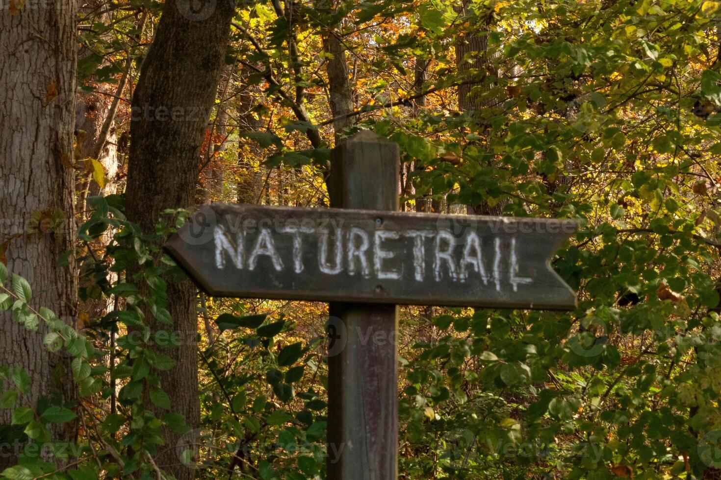 This trail marker has been paced at the beginning of the path. It is put here to make the entrance so hikers could find their way. The brown signage posted with white letters stating the title. photo