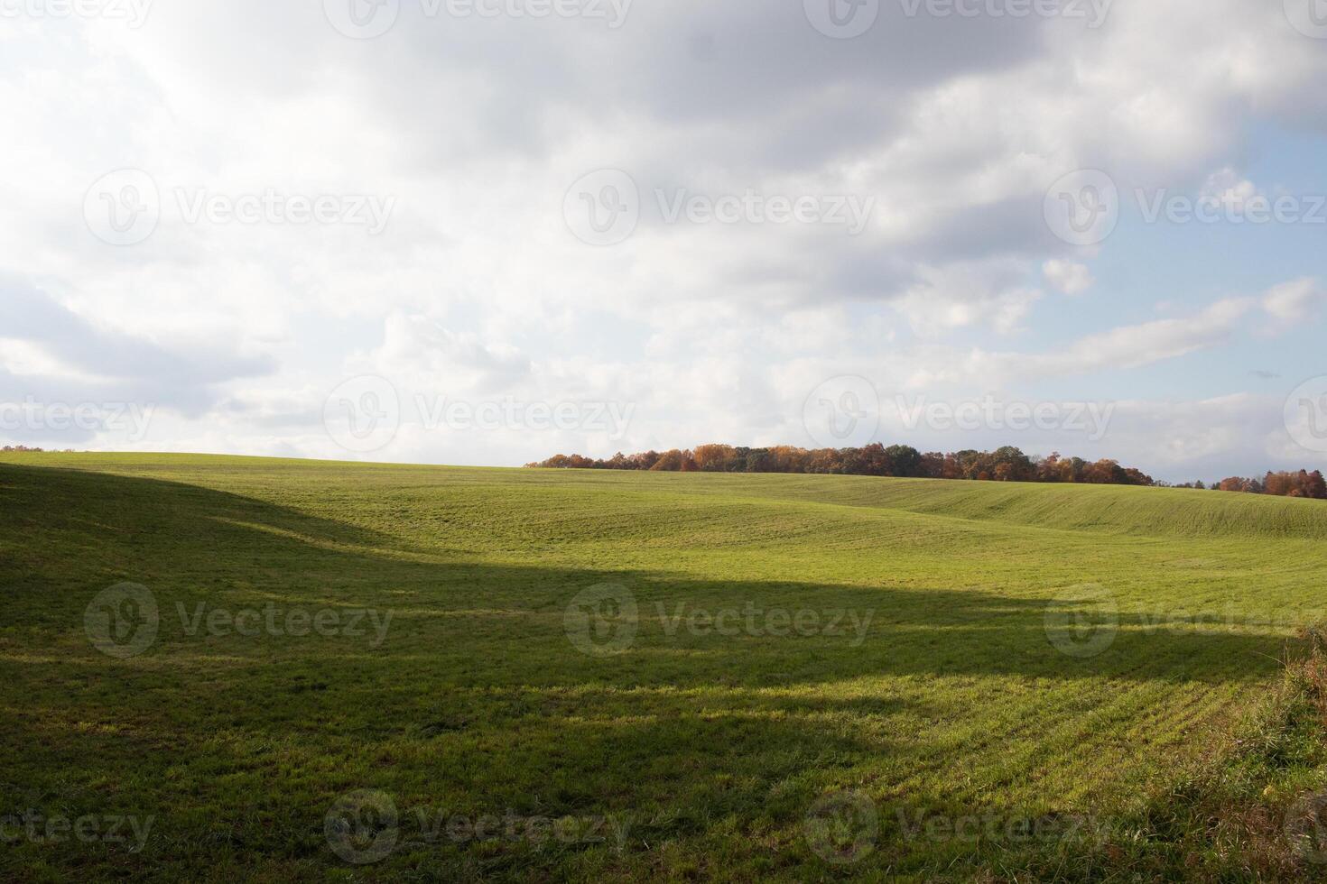 This is a beautiful image of a field that seems to stretch forever. The rolling hills of the lush green grass seems to glow with the cloudy sky above. Fall foliage can be seen in the distance. photo