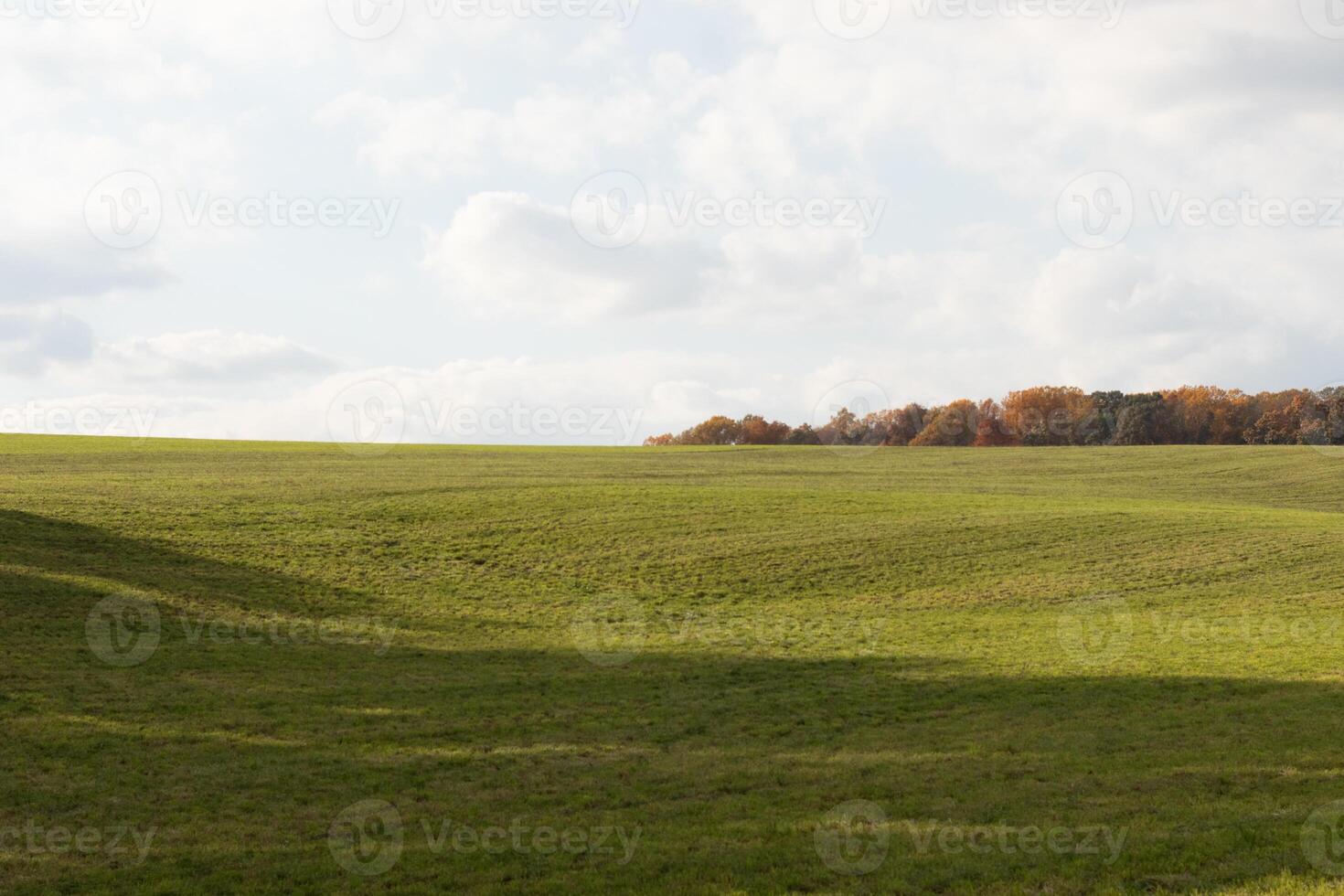 This is a beautiful image of a field that seems to stretch forever. The rolling hills of the lush green grass seems to glow with the cloudy sky above. Fall foliage can be seen in the distance. photo