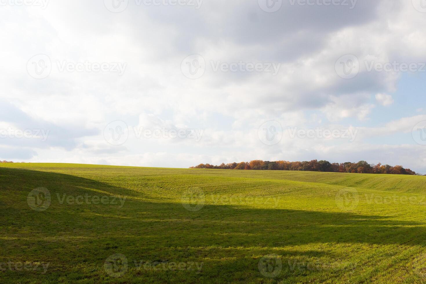 This is a beautiful image of a field that seems to stretch forever. The rolling hills of the lush green grass seems to glow with the cloudy sky above. Fall foliage can be seen in the distance. photo