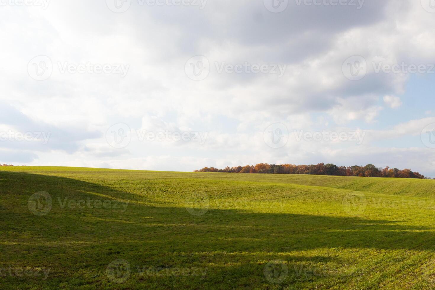 esta es un hermosa imagen de un campo ese parece a tramo para siempre. el laminación colinas de el lozano verde césped parece a resplandor con el nublado cielo arriba. otoño follaje lata ser visto en el distancia. foto