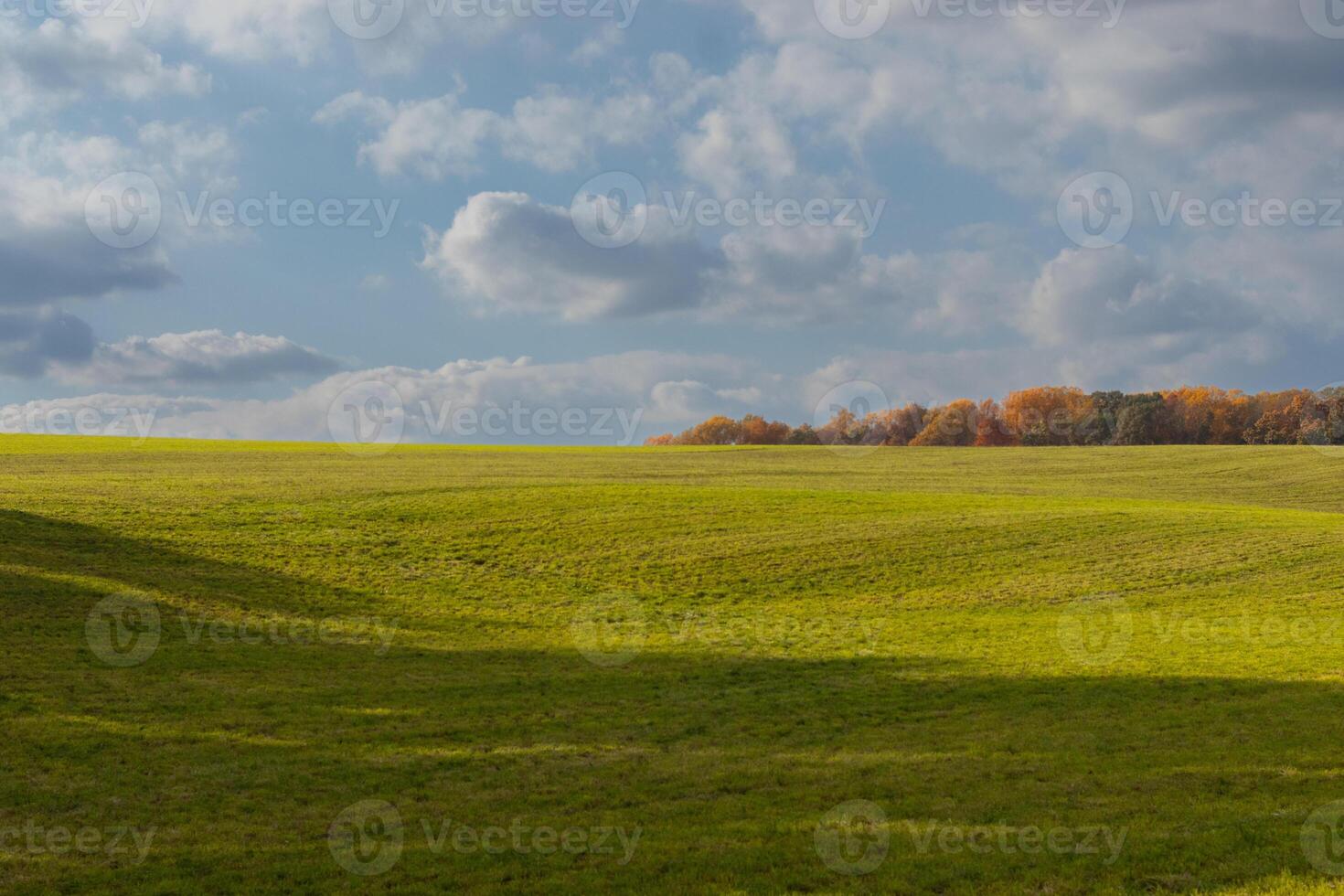 This is a beautiful image of a field that seems to stretch forever. The rolling hills of the lush green grass seems to glow with the cloudy sky above. Fall foliage can be seen in the distance. photo