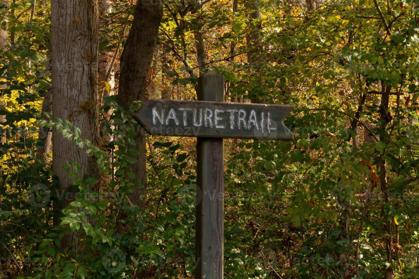 This trail marker has been paced at the beginning of the path. It is put here to make the entrance so hikers could find their way. The brown signage posted with white letters stating the title. photo