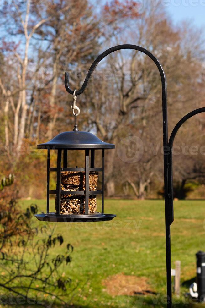 This pretty birdfeeder hangs by a shepherds hook. This is a black metal design and holds birdseed cakes. The seed is surrounded by a cage for birds to come to and reach in with their beaks. photo
