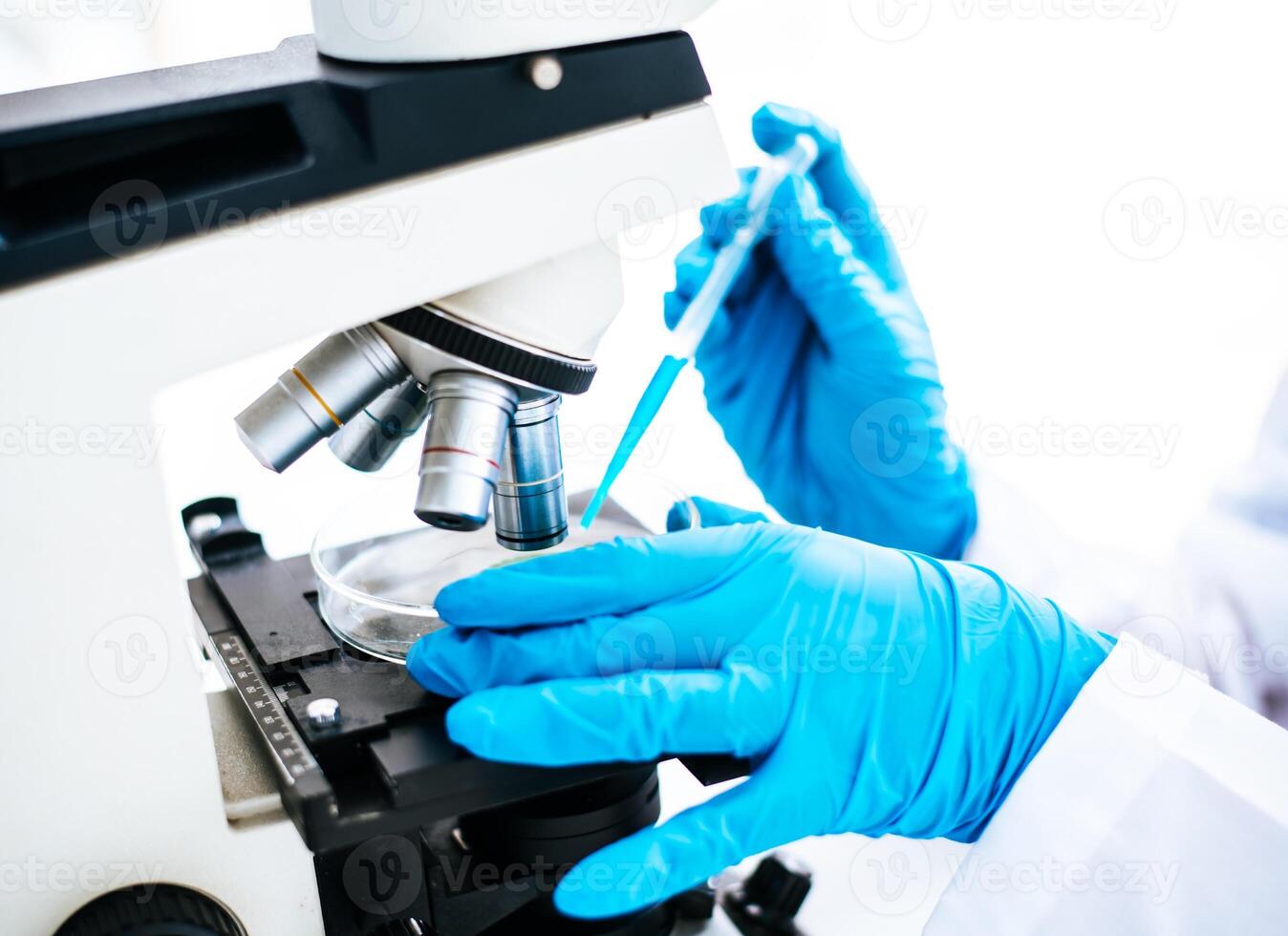 Experimental methods of plant breeding a test tube in an experiment research in laboratory. photo