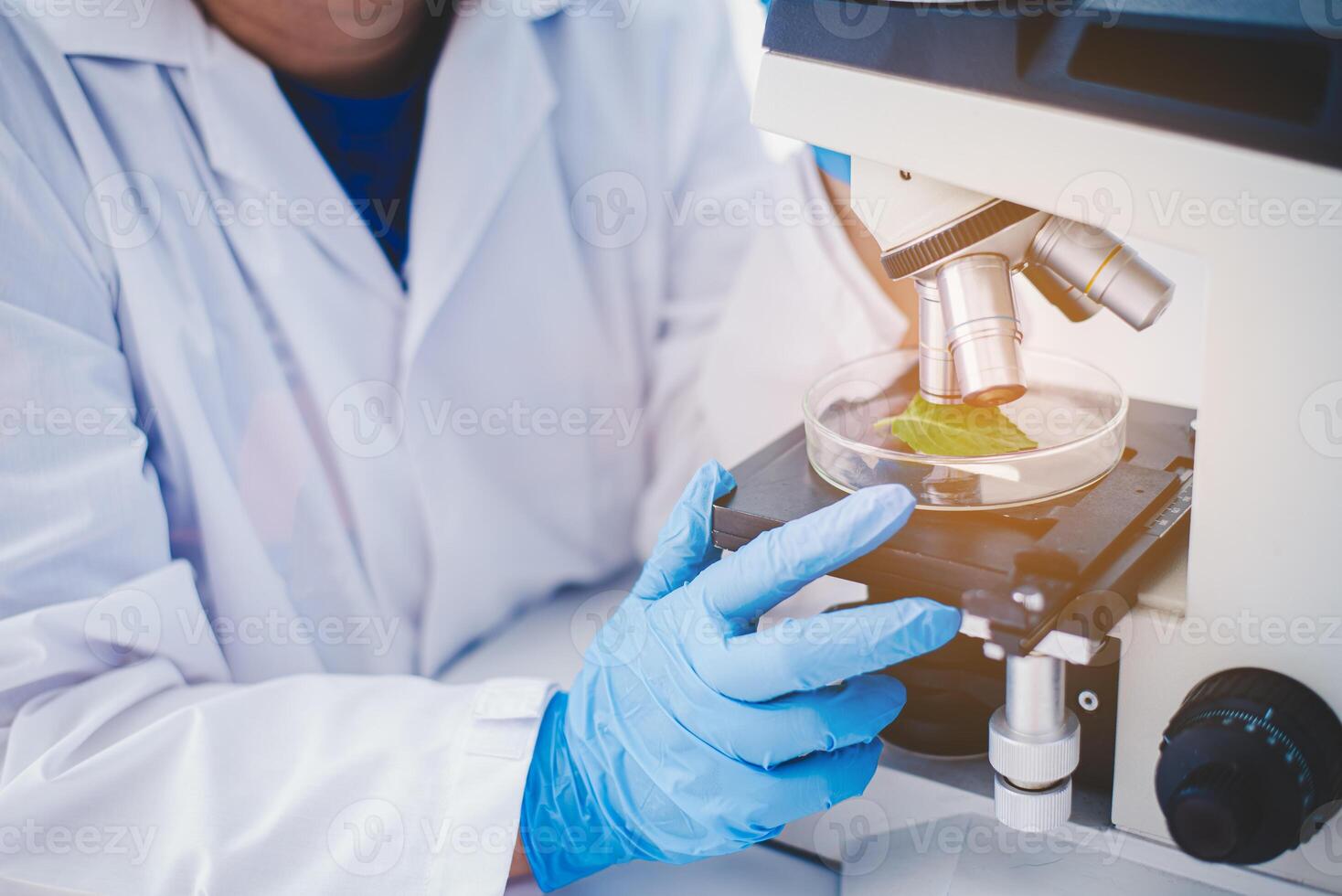 Experimental methods of plant breeding a test tube in an experiment research in laboratory. photo