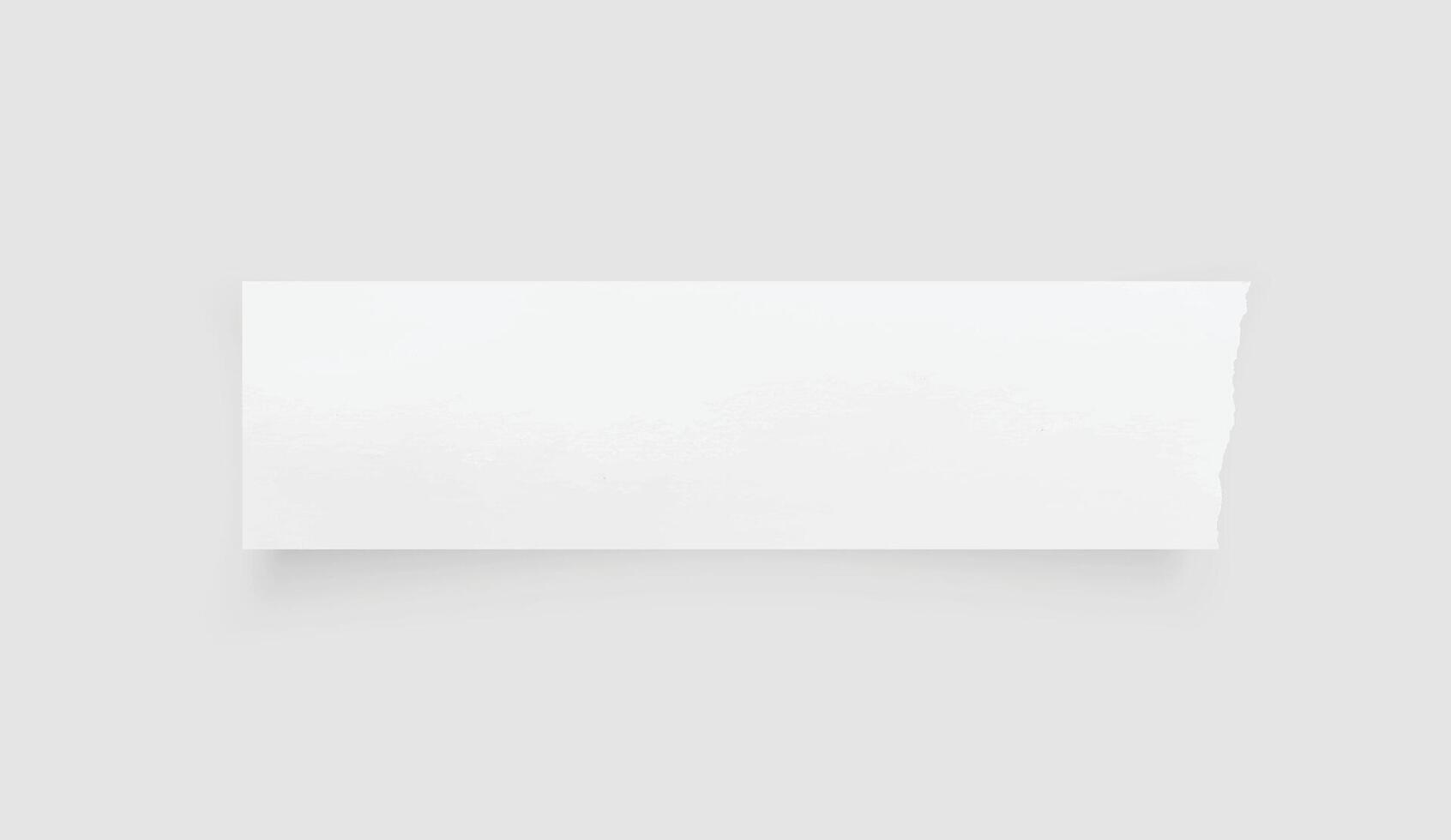 Torn paper edges. Ripped paper texture. Paper tag. White paper sheet for background with clipping path. Vector. vector