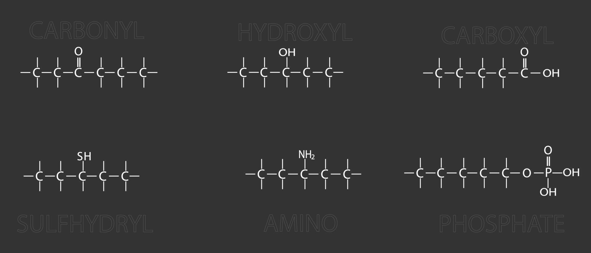 funcional grupos de orgánico moléculas. molecular esquelético químico fórmula vector