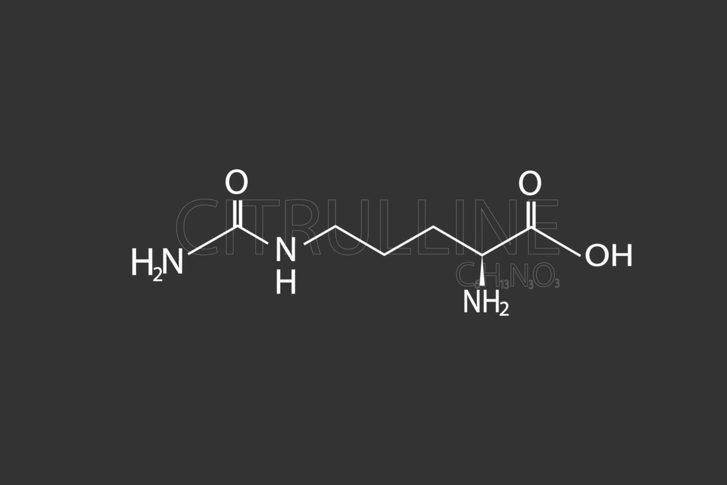 citrulina molecular esquelético químico fórmula vector